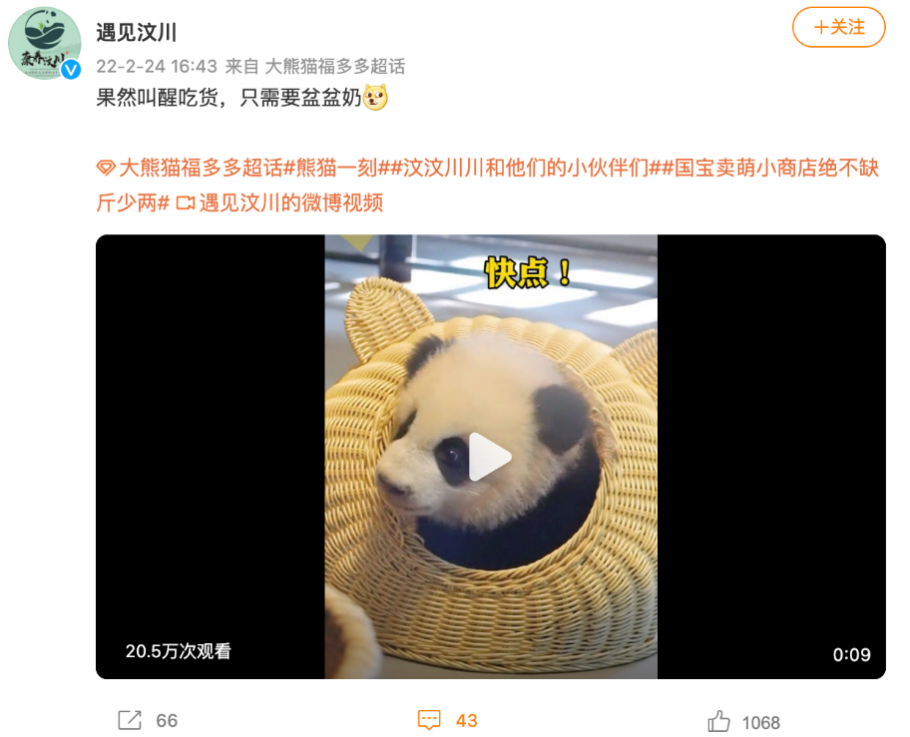 图片9.png