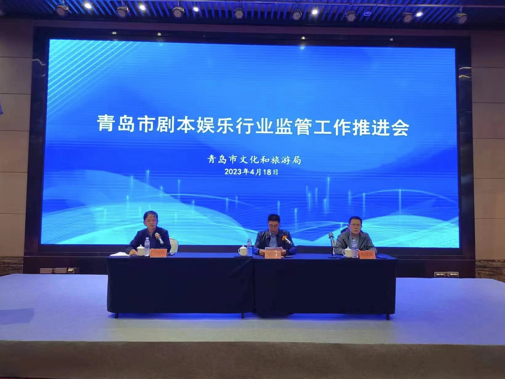 图为推进会现场 主办方 供图