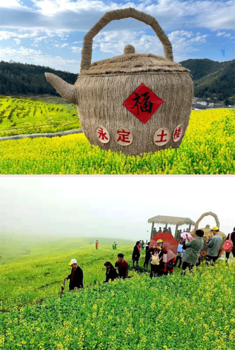 梯田花海.png