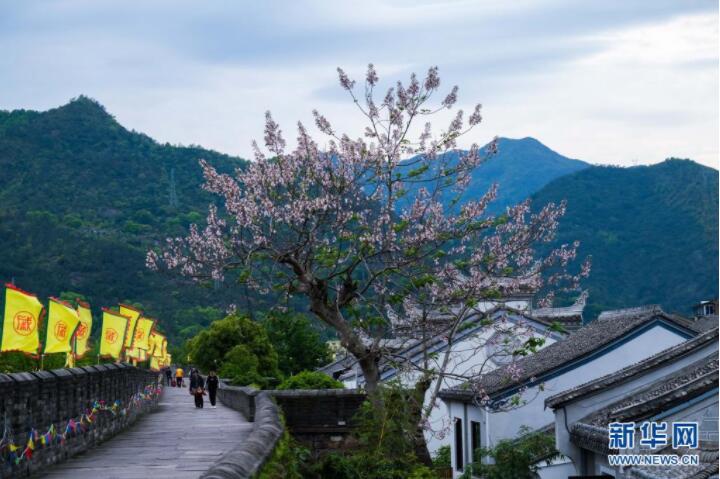 4月7日，游客在临海的台州府城文化旅游区游览江南长城。新华社记者 徐昱 摄