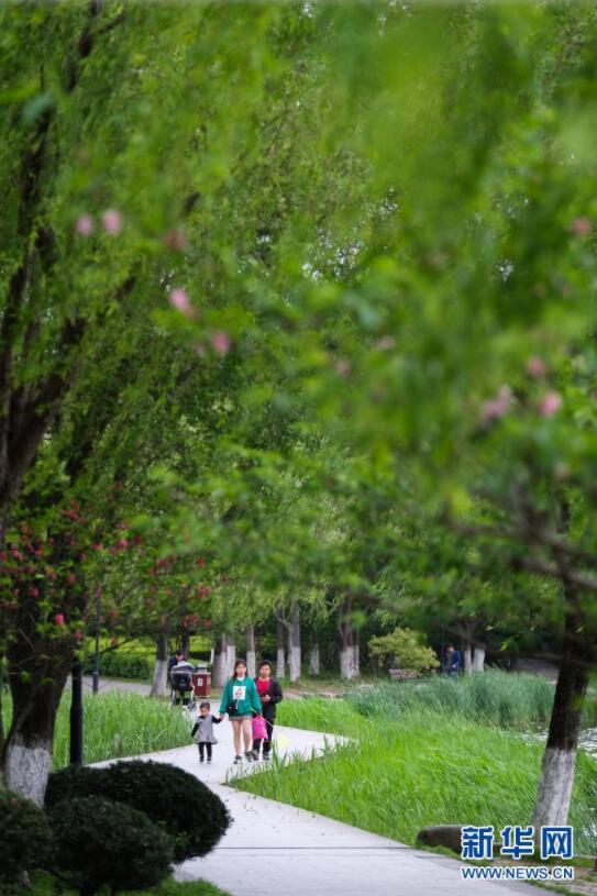 4月7日，游客在台州临海的灵湖景区观赏春色。新华社记者 徐昱 摄